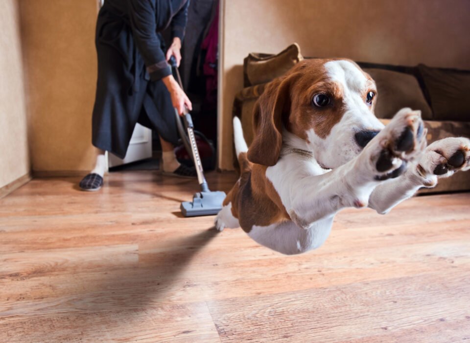 Laminate Flooring