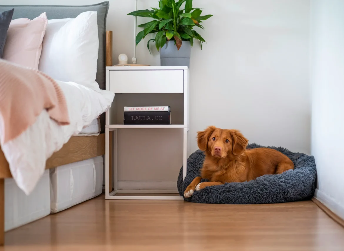 Floor Protection Tips for Cypress TX Homes